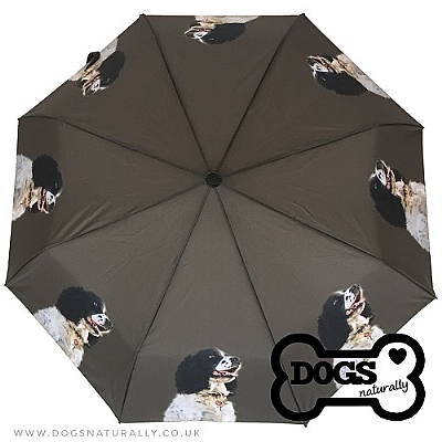 Springer Spaniel Umbrella